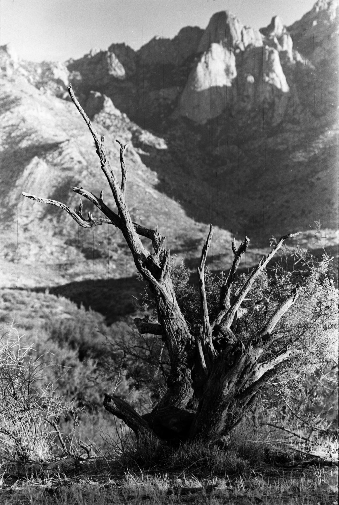Rancho Romero (Catalina State Park)